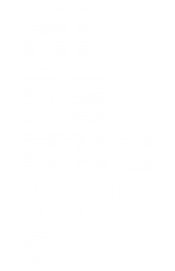Dinamia Consultoría Social - logotipo blanco fondo transparente
